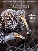 Audubon Magazine